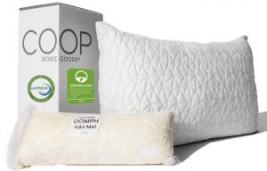 best bamboo pillow