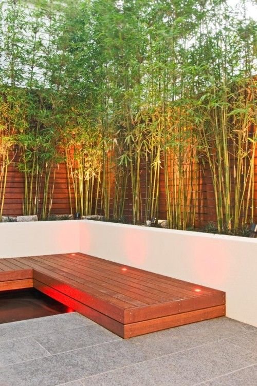 Best Bamboo Screening Plants Species to Use Right Now - TopBambooProducts .com