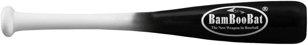 bamboo baseball bats pros and cons