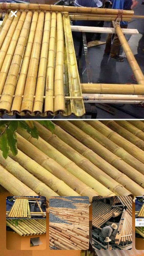 bamboo books