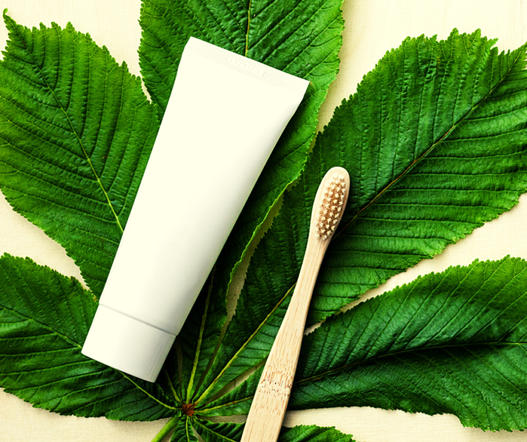 Are Bamboo Toothbrushes Better? [Know The Truth]