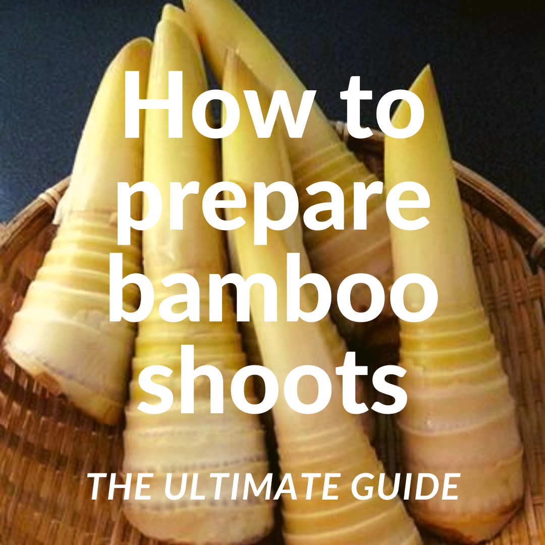 how to prepare bamboo shoots
