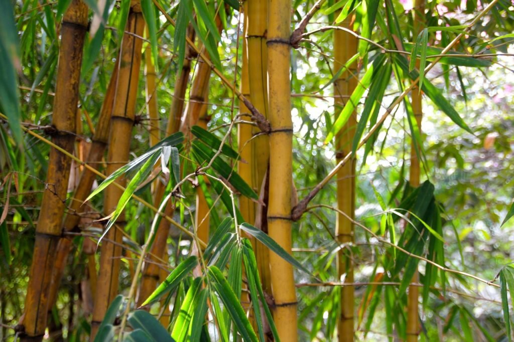 how to keep bamboo from splitting