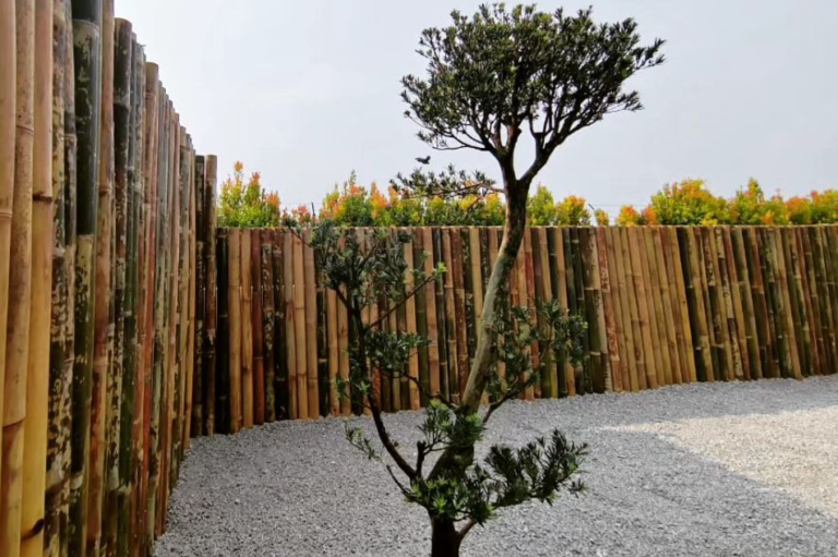 Discover The Best Sealant For Bamboo Fence