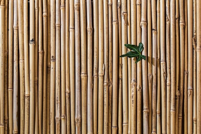 How To Treat Bamboo For Outdoor Use