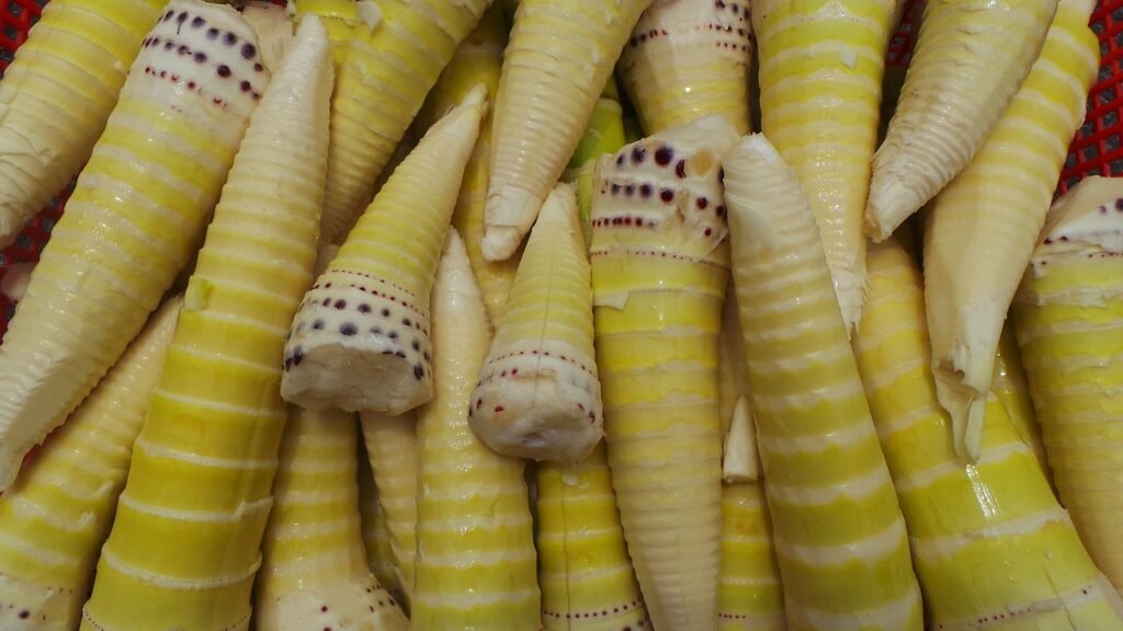 are bamboo shoots healthy