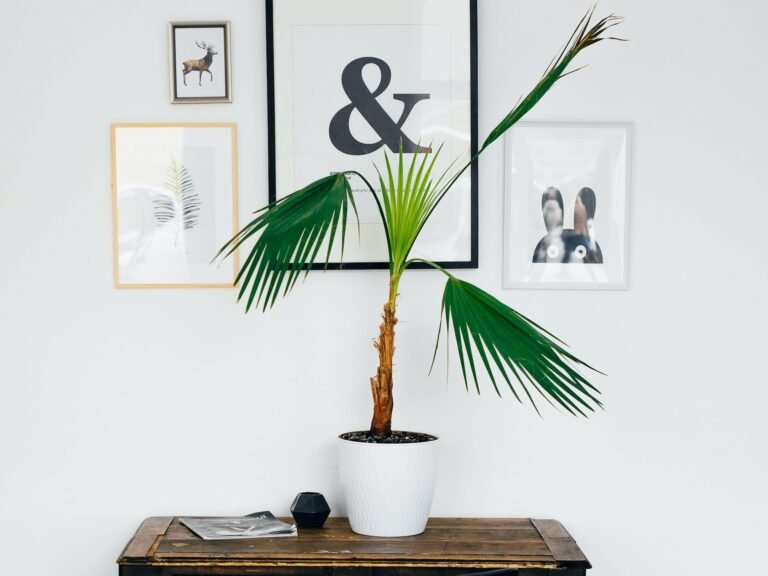 Bringing Nature Indoors: Can Bamboo Plant Be Kept In Bedroom?