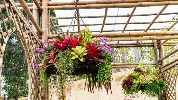bamboo hoops for garden