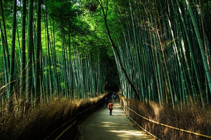 what are the benefits of bamboo products