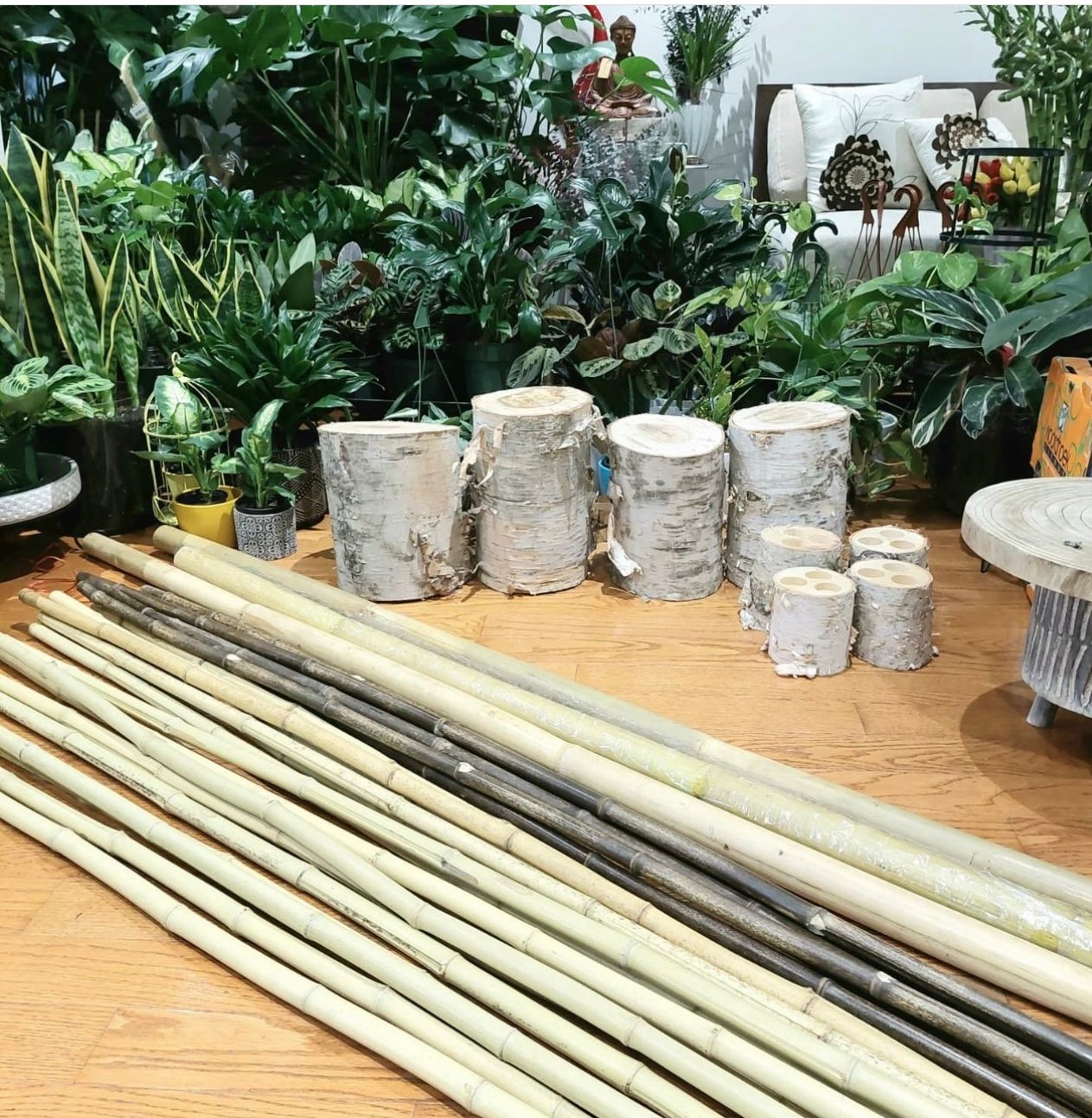 Discover key tips on 'How To Choose A Bamboo Supplier' for quality, sustainability, and value in our comprehensive guide.